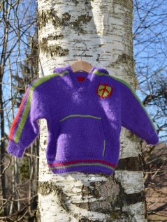 Sweatshirt med hætte